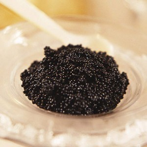 캐비어추출물(Caviar Ext.) 